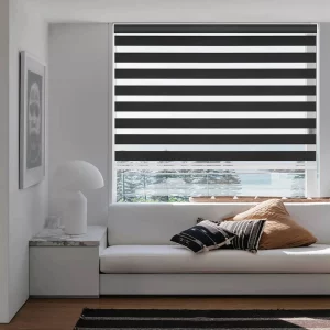Day & Night Black Zebra Roller Blinds