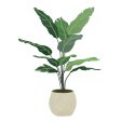 lovepik-home-decoration-green-plant-pot-png-image_401298861_wh1200-removebg-preview